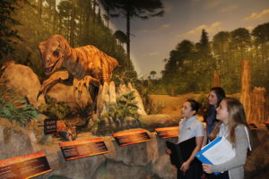Dayspring Christian Academy students expkore creation vs. evolution on a four-day field study.