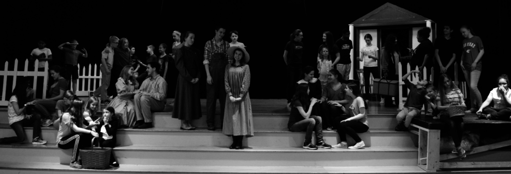 The cast of Anne of Green Gables performs at Dayspring Christian Academy for the 2017 spring musical.