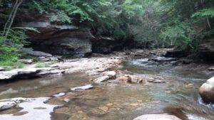 Rock Run in Loyalsock State Forest, Lycoming County, PA.