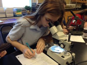 A Dayspring Christian Academy biology student records her observations of basic feather structure.