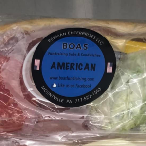 12" American Subs
